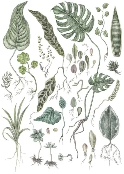 Best Iris Hantverk Affisch Cuttings