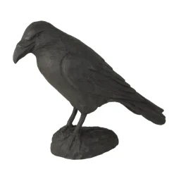 Best Iris Hantverk Korp