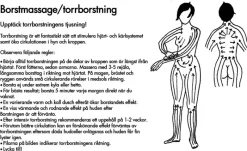 Clearance Iris Hantverk Massageborste Med Skaft
