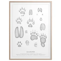 Hot Iris Hantverk Poster Djurspår