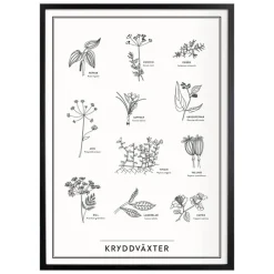 Discount Iris Hantverk Poster Kryddväxter