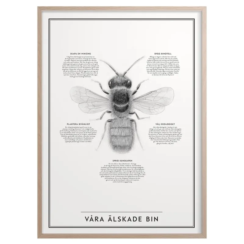 Hot Iris Hantverk Poster Våra Älskade Bin