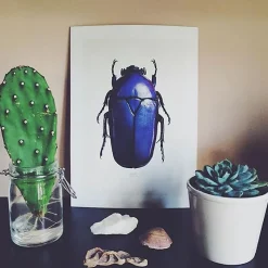 Discount Iris Hantverk Print Chlorocala Africana Oertzeni