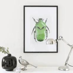 Hot Iris Hantverk Print Chrysina Strasseni