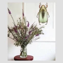 Hot Iris Hantverk Print Chrysina Strasseni