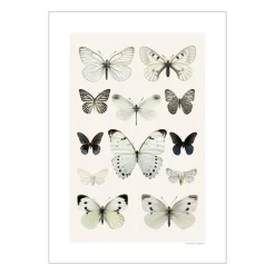 Online Iris Hantverk Print Fjärilskollage