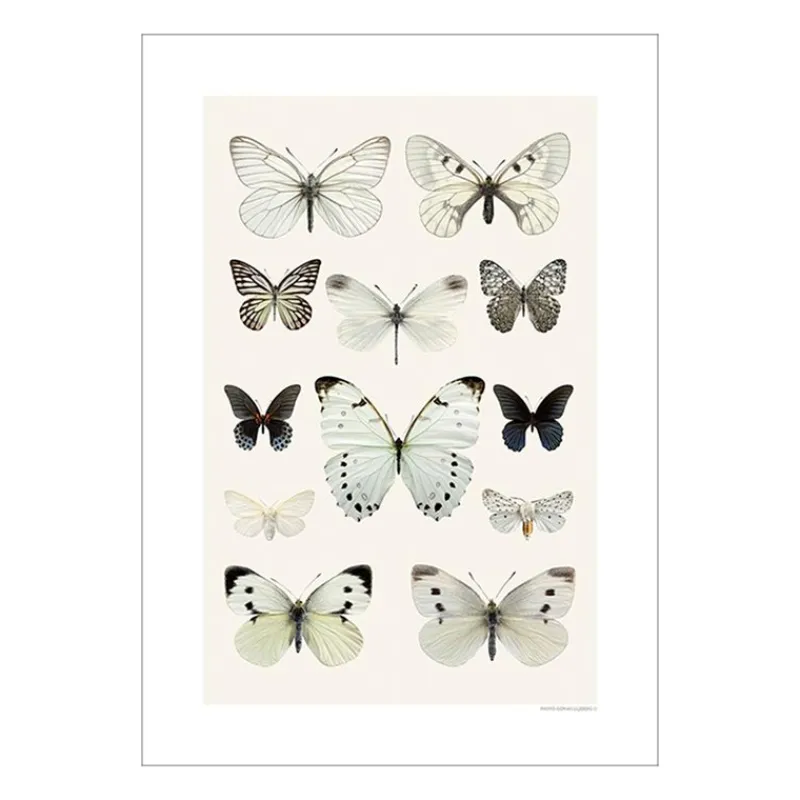 Online Iris Hantverk Print Fjärilskollage