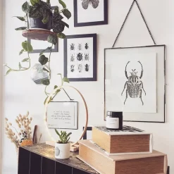 New Iris Hantverk Print Goliathus Orientalis