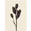 Sale Iris Hantverk Print Iris