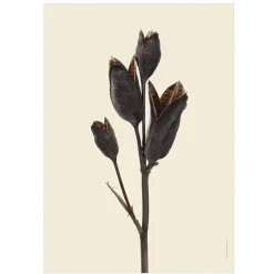 Sale Iris Hantverk Print Iris