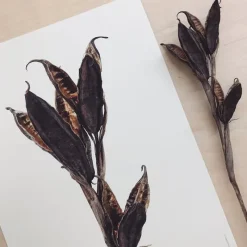 Sale Iris Hantverk Print Iris